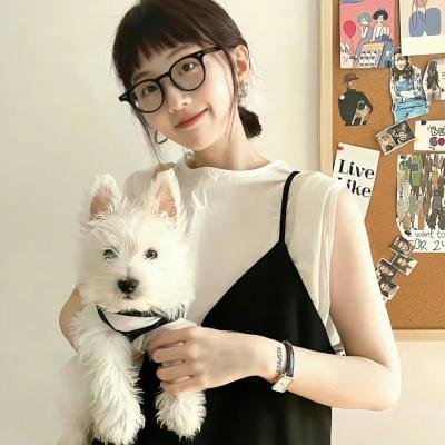 凤囚凰 电视剧封面